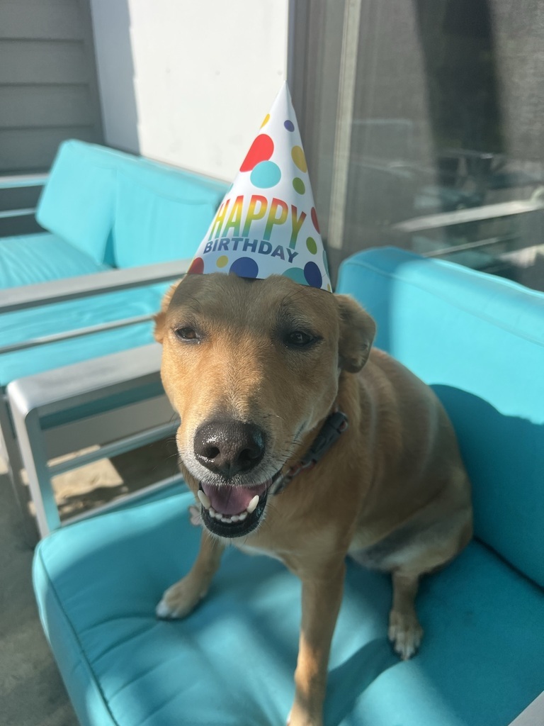 Miss Sylvia birthday