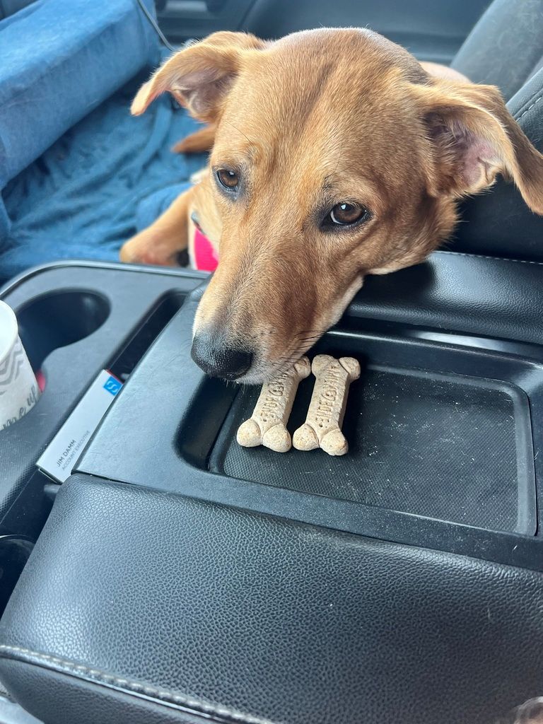 Miss Sylvia in the LICC truck with treats